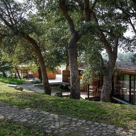 Wood Mood Lodges Cristelo  외부 사진